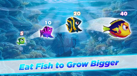 fish breeding game|fish eat and grow games.